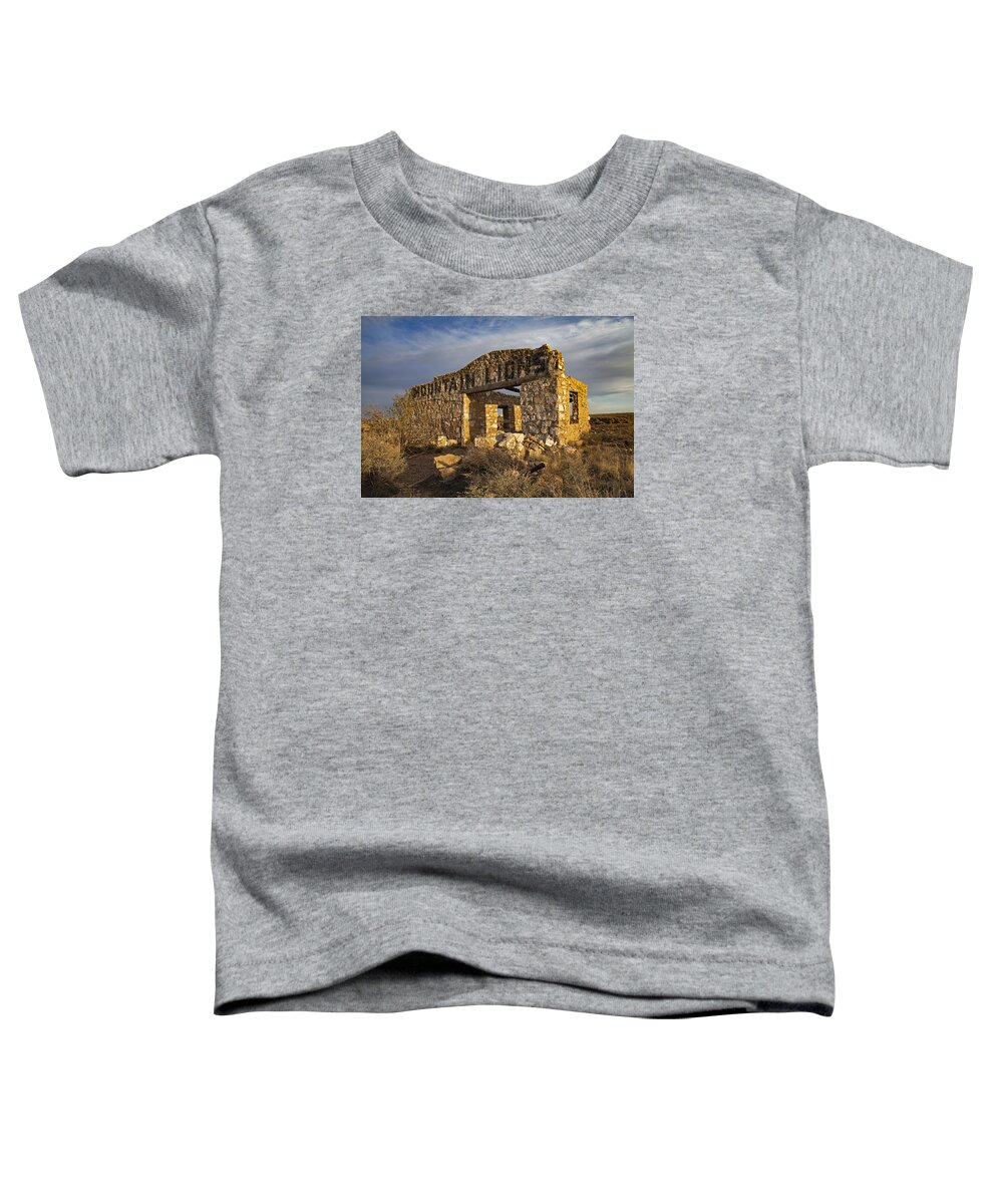 Route 66 Toddler T-Shirt featuring the photograph Mountain Lion Zoo at Two Guns by Rick Pisio