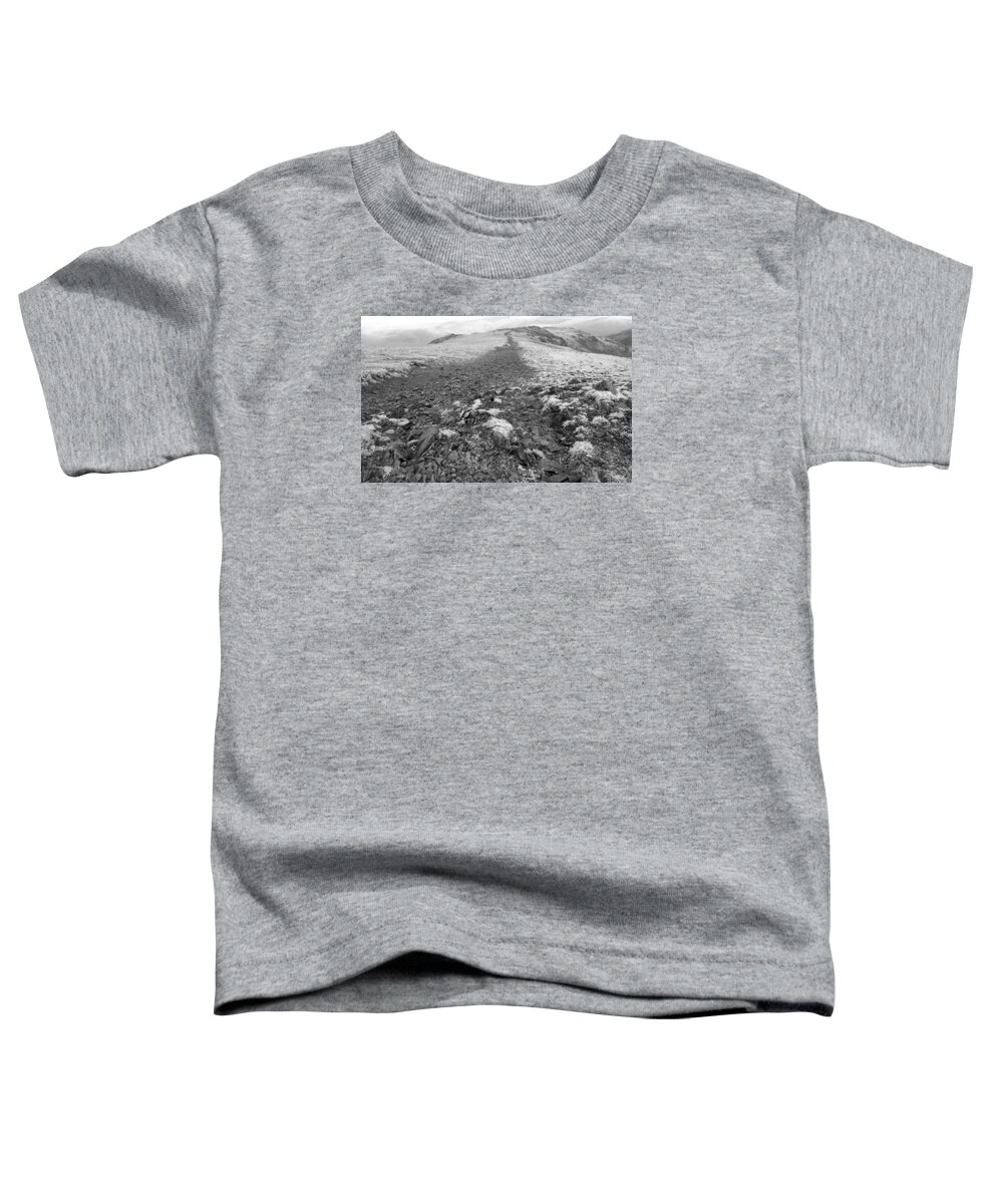 Road Toddler T-Shirt featuring the photograph Mountain road by Lukasz Ryszka