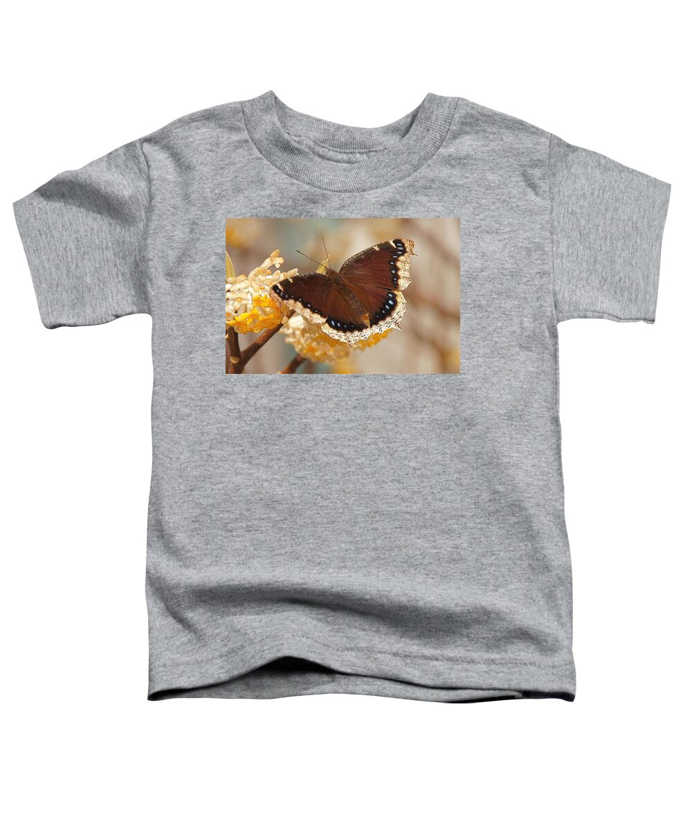 Mourning Cloak Butterfly Toddler T-Shirt featuring the photograph Mourning Cloak Butterfly by Byron Varvarigos