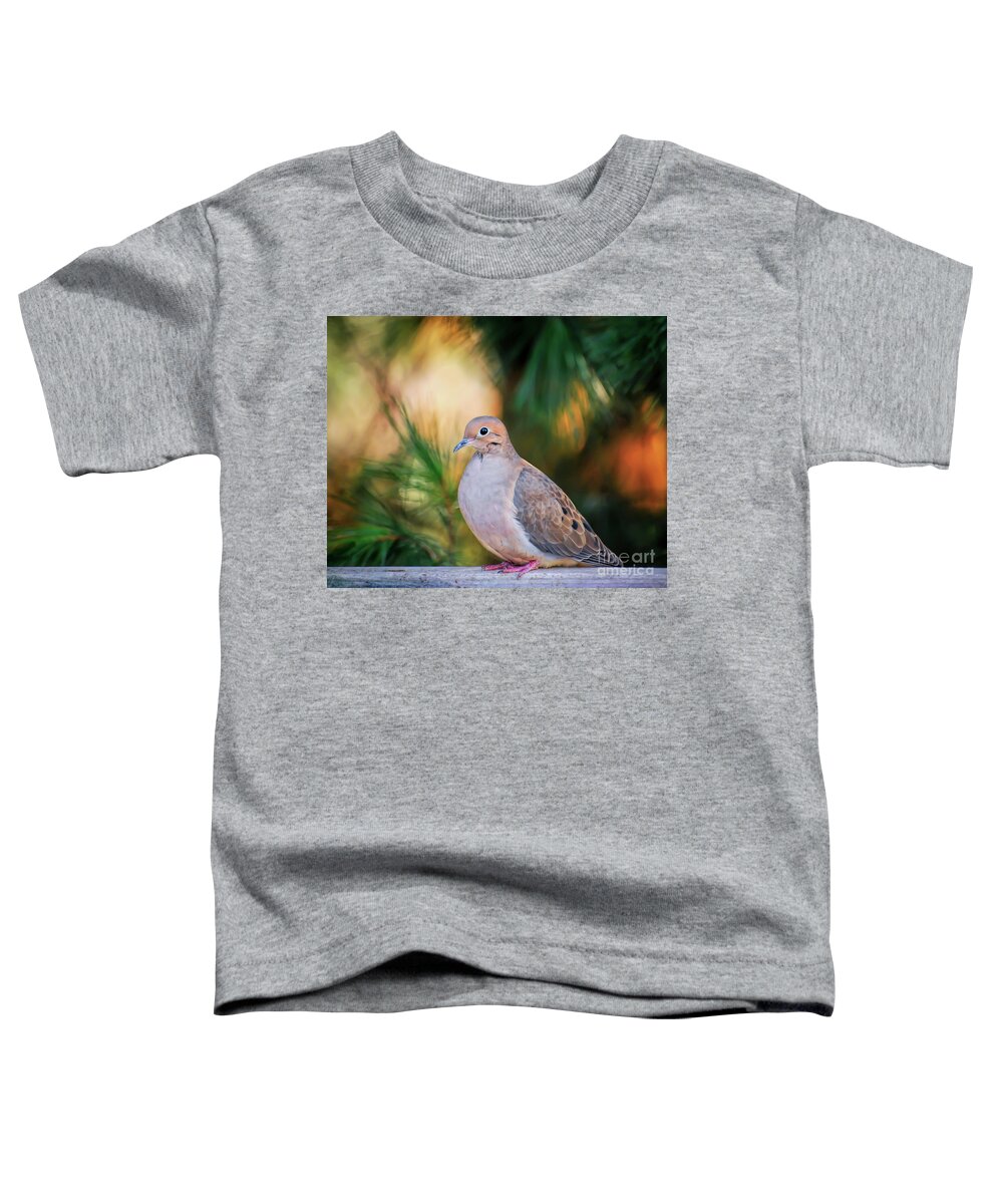 Dove Toddler T-Shirt featuring the photograph Mourning Dove Bathed in Autumn Light by Kerri Farley of New River Nature