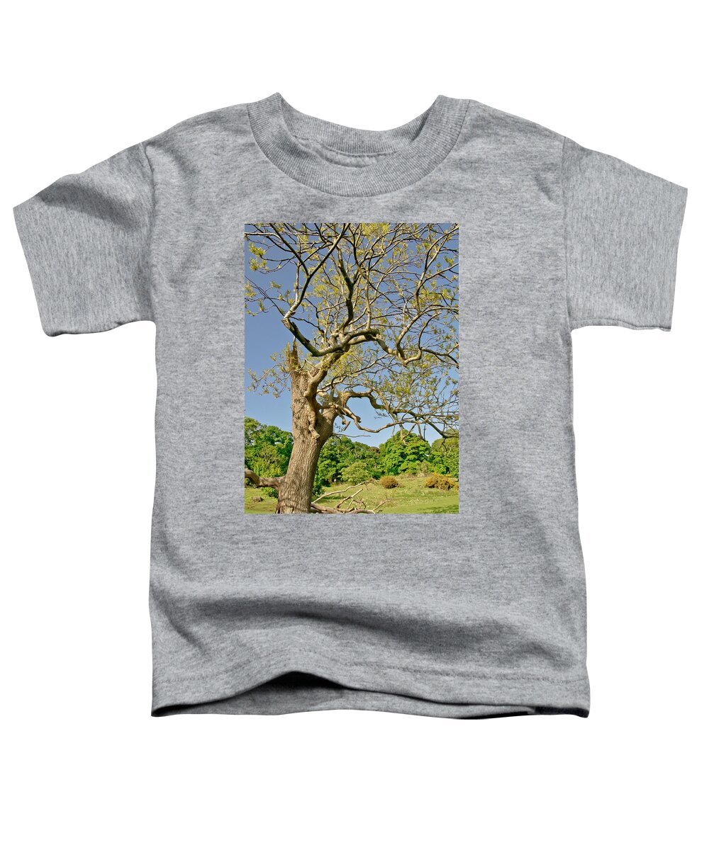 Tree Toddler T-Shirt featuring the photograph Moving Up. by Elena Perelman