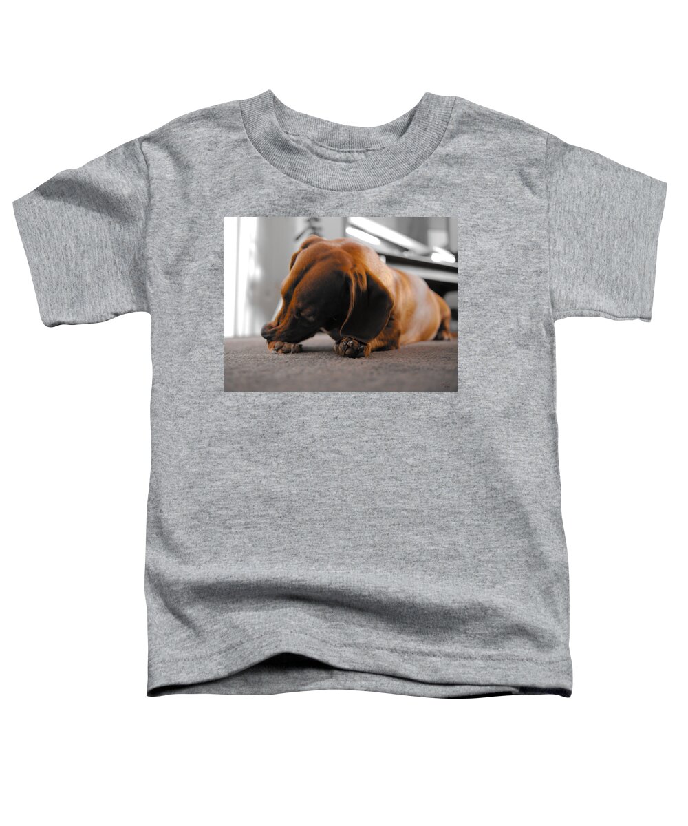 Portrait Toddler T-Shirt featuring the photograph Mr Fritz biting 2 by Michael Blaine