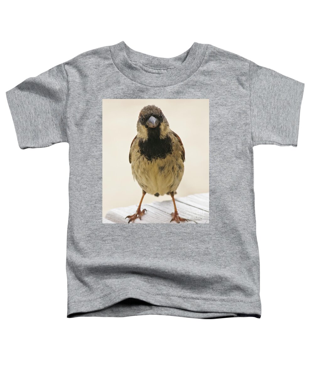 House Sparrow Toddler T-Shirt featuring the photograph Mr Sparrow by Terri Waters