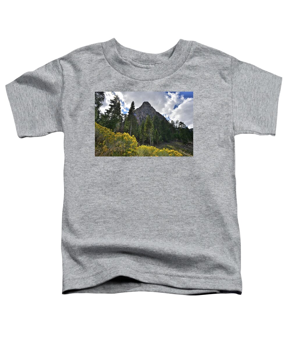 Humboldt-toiyabe National Forest Toddler T-Shirt featuring the photograph Mt. Charleston Basin by Ray Mathis