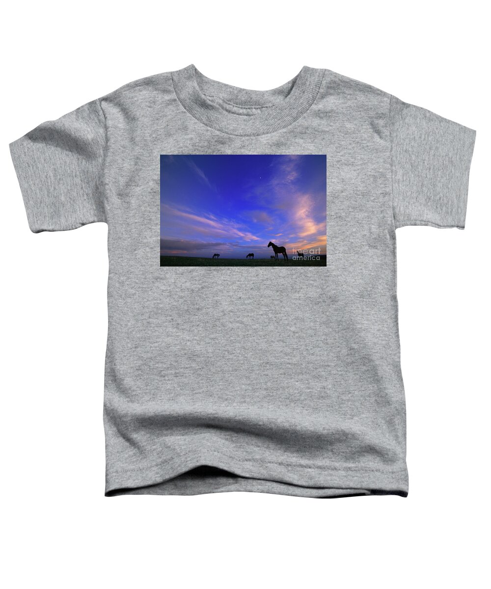 00340182 Toddler T-Shirt featuring the photograph Mustangs and Evening Sky by Yva Momatiuk John Eastcott