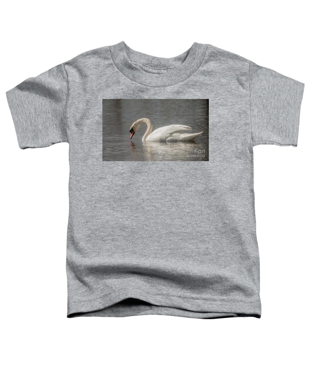 Mute Swan Toddler T-Shirt featuring the photograph Mute Swan by David Bearden