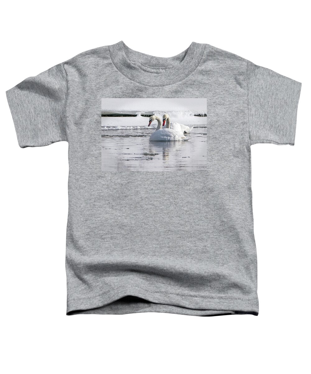 Swan Toddler T-Shirt featuring the photograph Mute Swan Pair by Ira Marcus