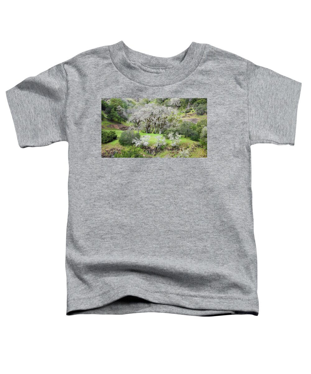 Nature Toddler T-Shirt featuring the photograph Mysterious Landscape in Sonoma County by Charlene Mitchell