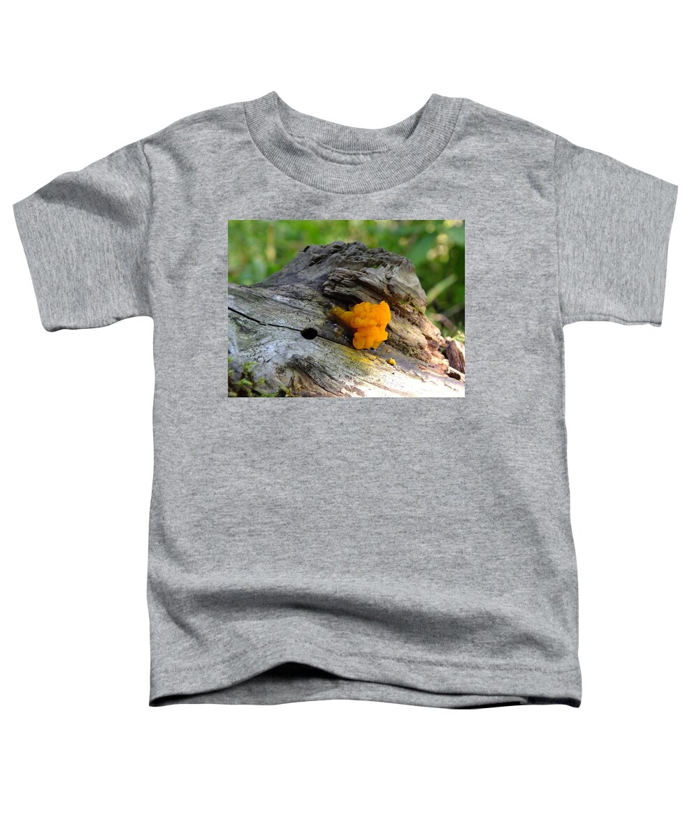 Nature Toddler T-Shirt featuring the photograph Nature's Art by Peggy King