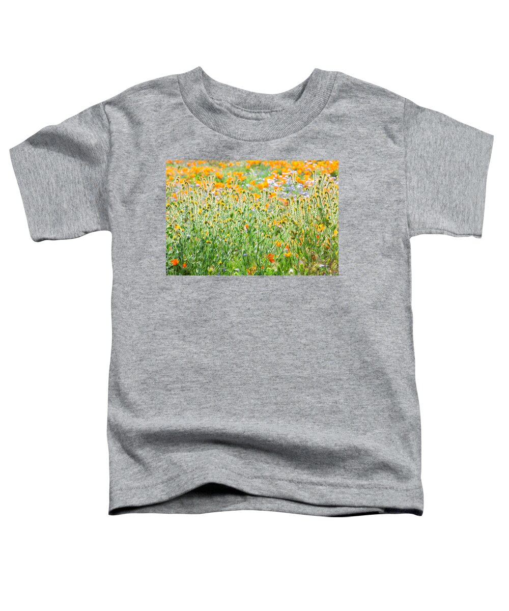 California Wildflowers Toddler T-Shirt featuring the photograph Nature's Artwork - California Wildflowers by Ram Vasudev