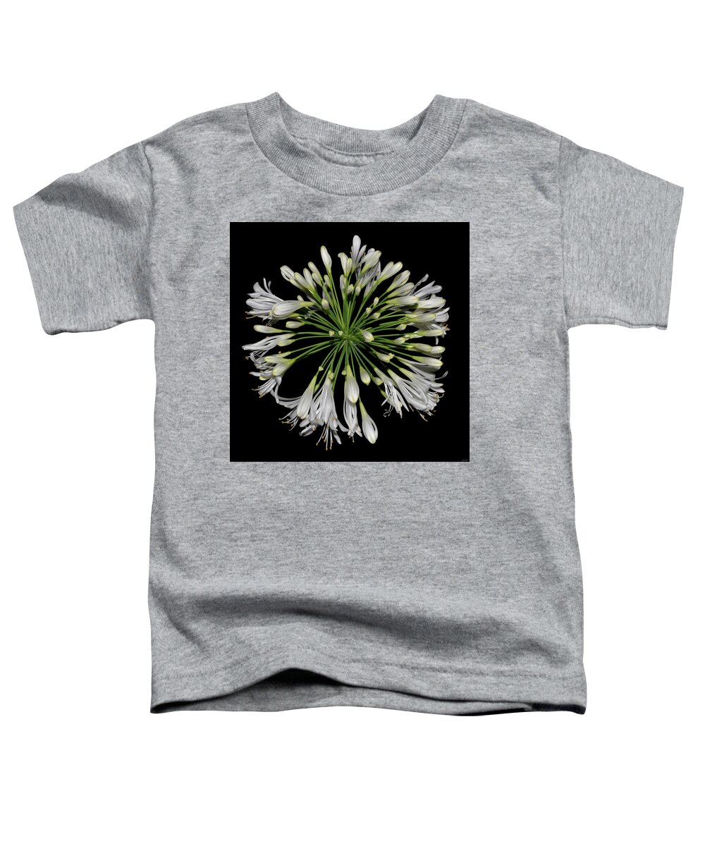 Nature Toddler T-Shirt featuring the photograph Natures Fireworks - Lily Of The Nile 005 by George Bostian