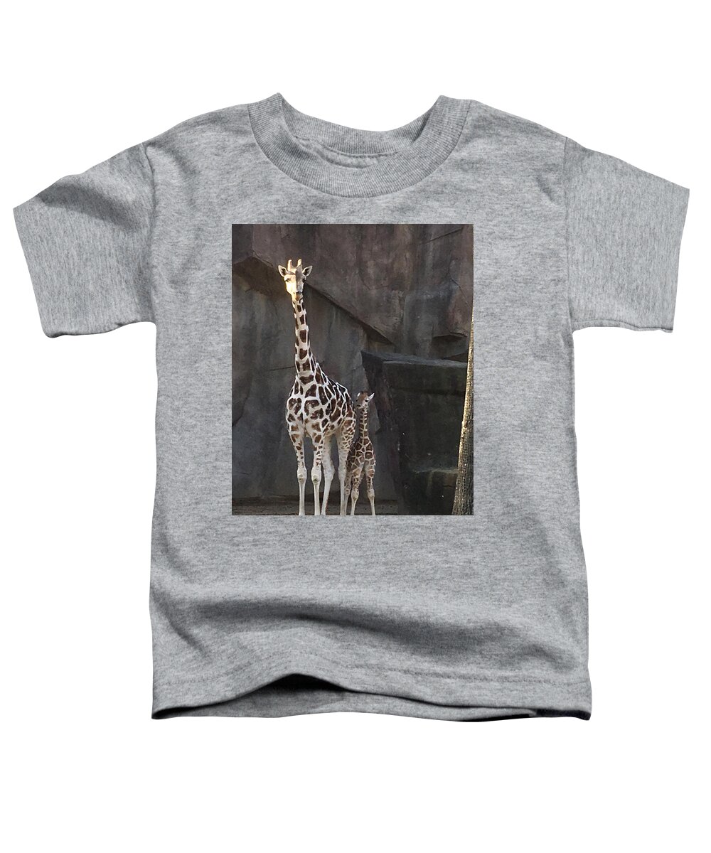 Zoo Toddler T-Shirt featuring the photograph New Baby Giraffe by Jean Wolfrum