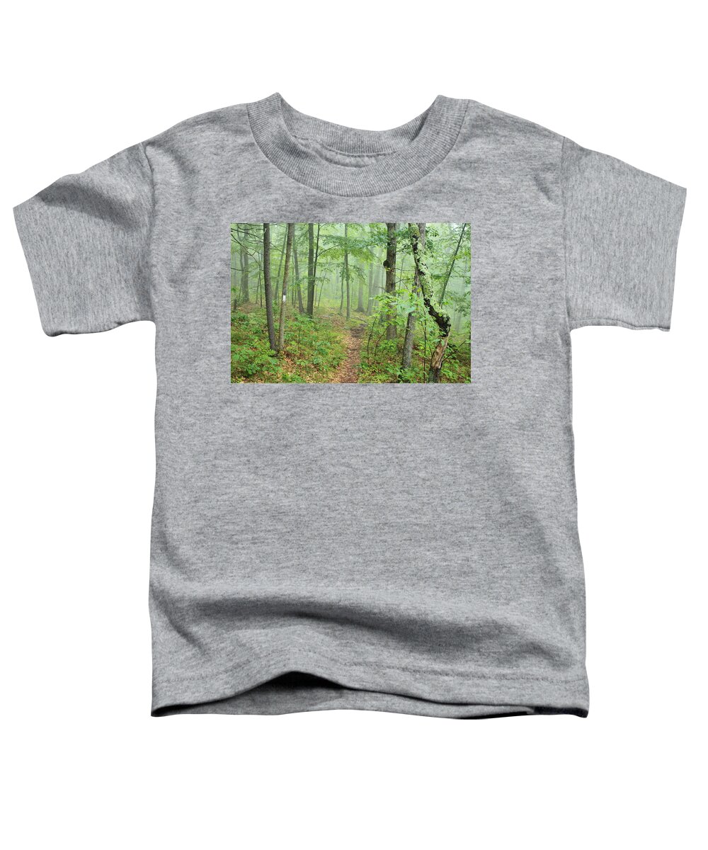 New England National Scenic Trail Toddler T-Shirt featuring the photograph New England National Scenic Trail Misty Forest by John Burk