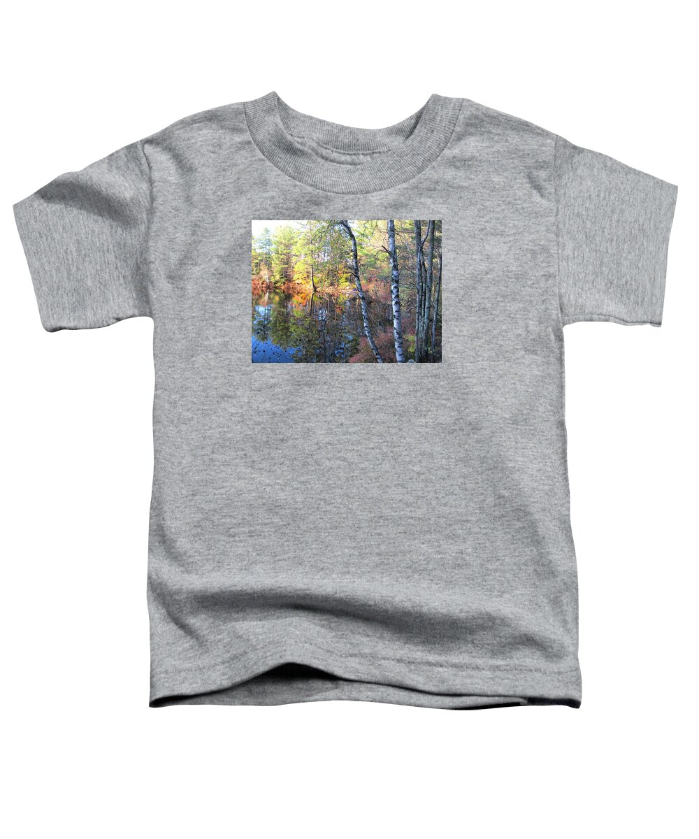 Birch Trees Toddler T-Shirt featuring the photograph New Hampshire Birch Trees by B Rossitto