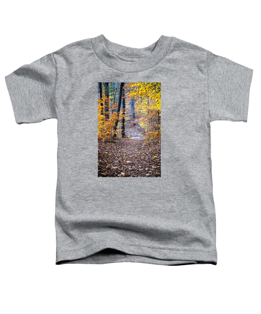 Gulf Road Waterfalls. Chesterfield New Hampshire Toddler T-Shirt featuring the photograph New Hampshire Woods by Tom Singleton