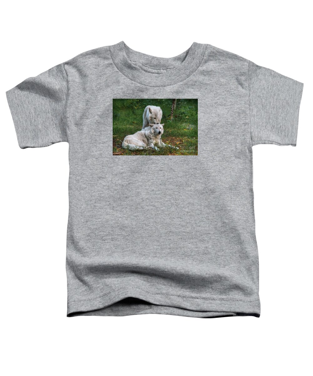Nibble And Groom Toddler T-Shirt featuring the digital art Nibble and Groom by William Fields