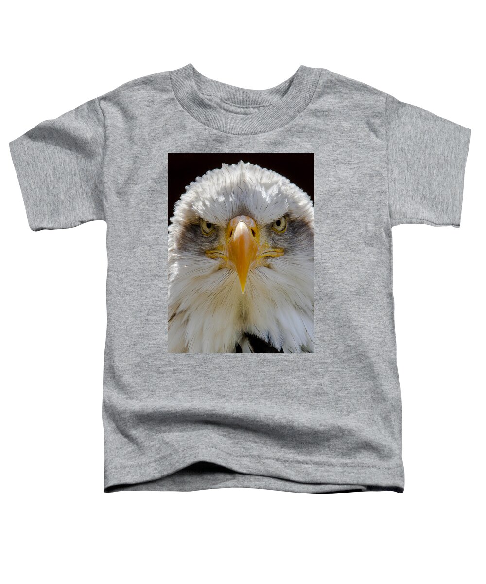 North American Bald Eagle Toddler T-Shirt featuring the photograph North American bald eagle by Andy Myatt