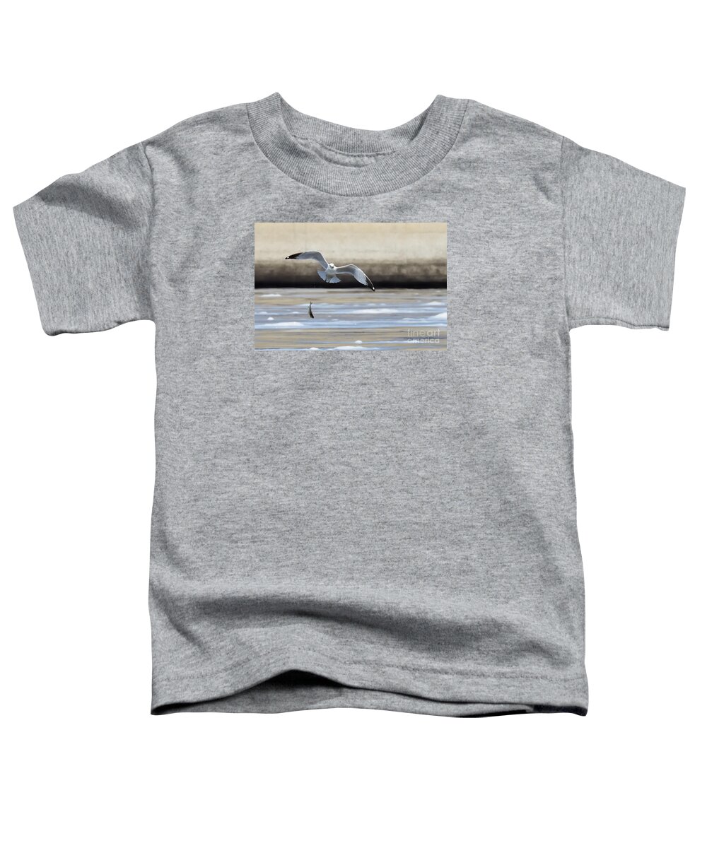 Seagull Sea Full Bird Fish Fishing Nature Wildlife Toddler T-Shirt featuring the photograph Not Quite 2777 by Ken DePue