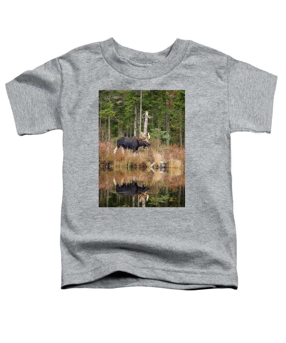 Moose Toddler T-Shirt featuring the photograph November Bull Moose by Duane Cross