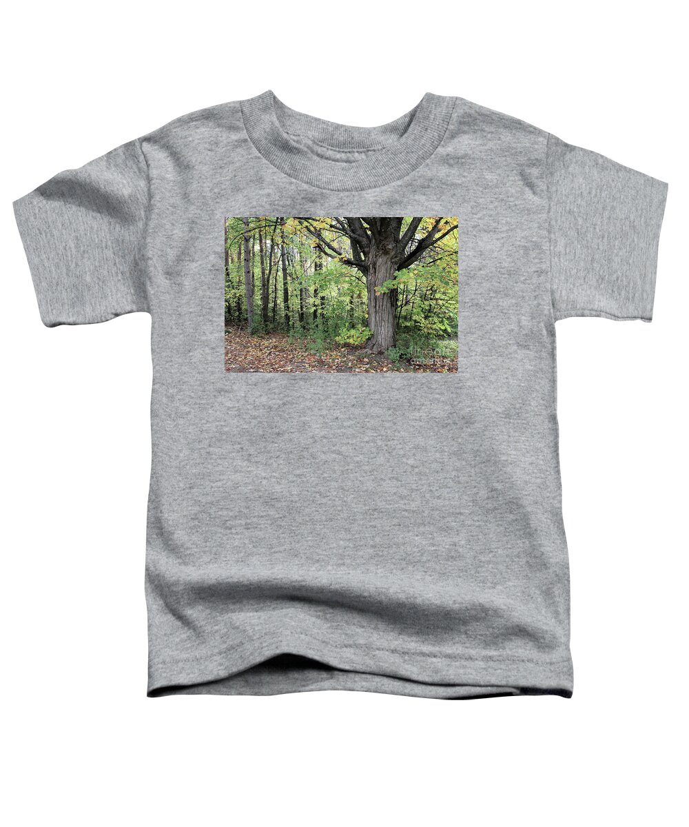 Landscape Toddler T-Shirt featuring the photograph October Trees by Laura Kinker