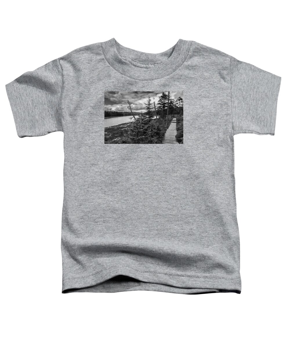 Nature Toddler T-Shirt featuring the photograph Oderteich,Upper Harz by Andreas Levi