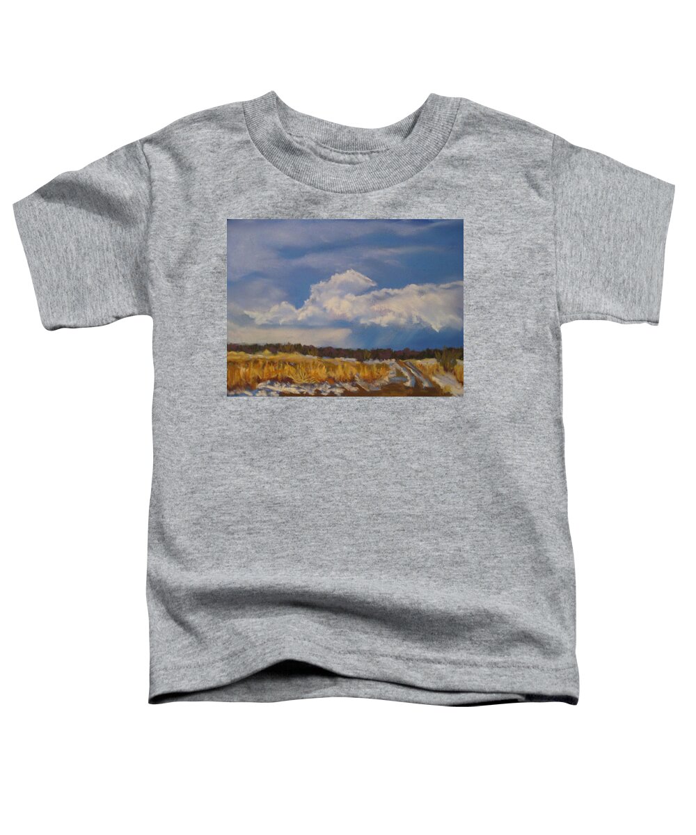 Ojo Clouds Toddler T-Shirt featuring the pastel Ojo Clouds by Constance Gehring