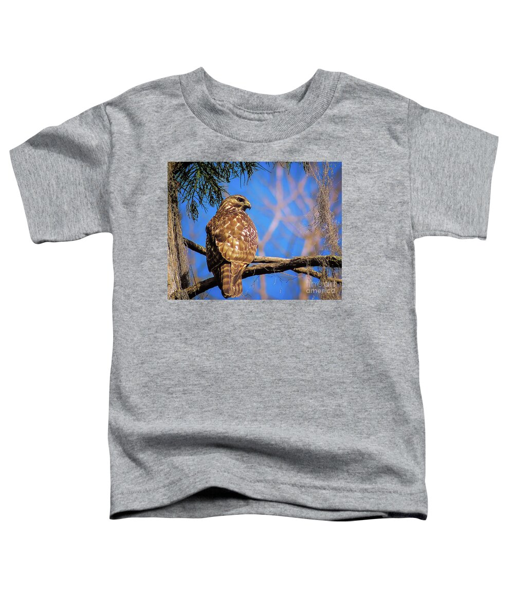 Nature Toddler T-Shirt featuring the photograph Okefenokee Swamp Red-Tailed Hawk - Buteo Jamaicensis by DB Hayes