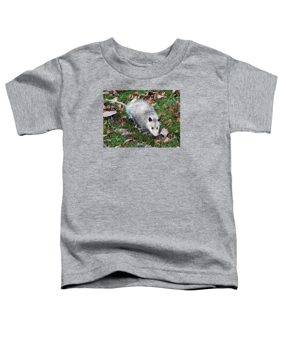 Animal Toddler T-Shirt featuring the photograph Opossum by Gina Fitzhugh