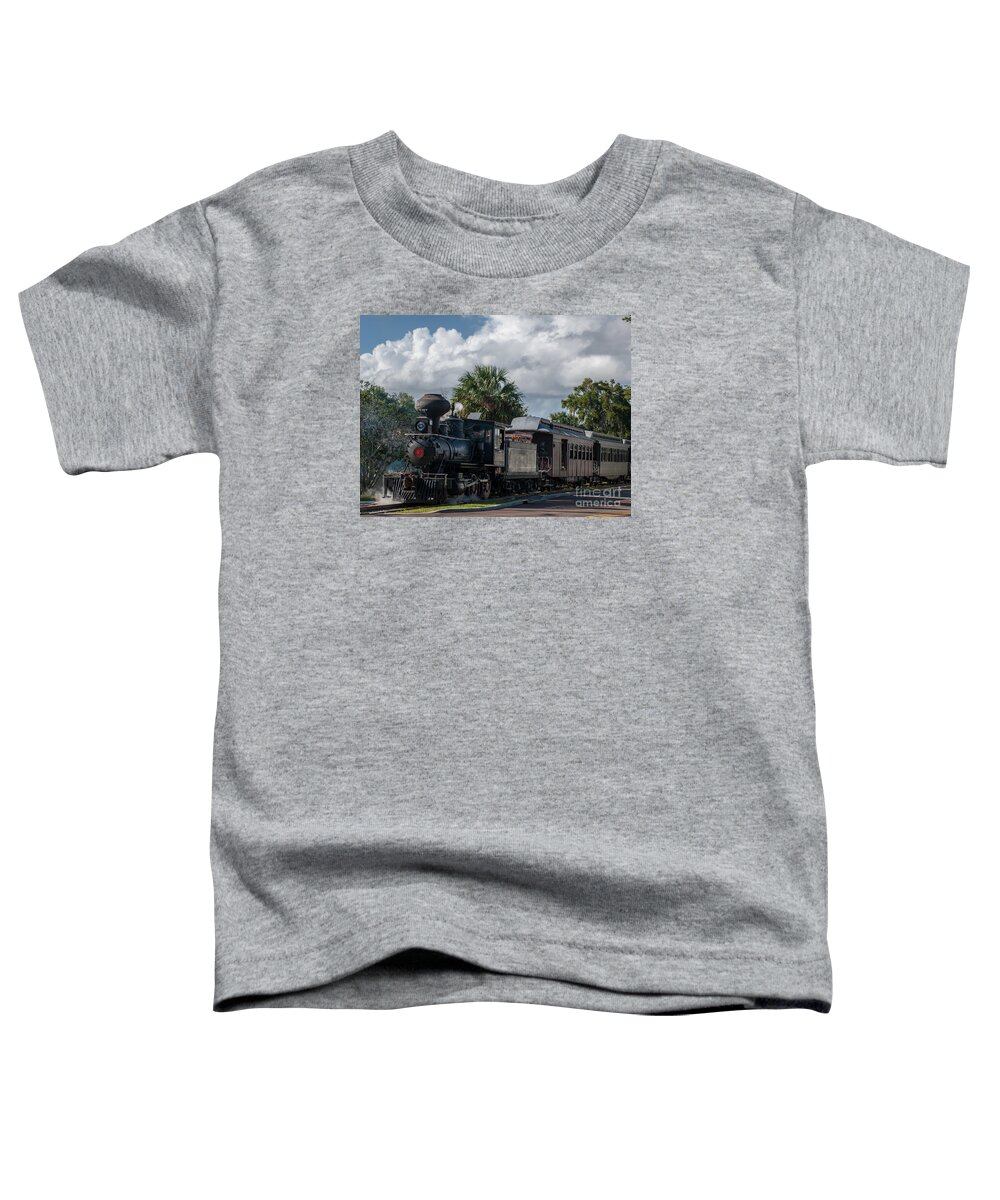 Orange Blossom Trail Toddler T-Shirt featuring the photograph Orange Blossom Trail by Dale Powell