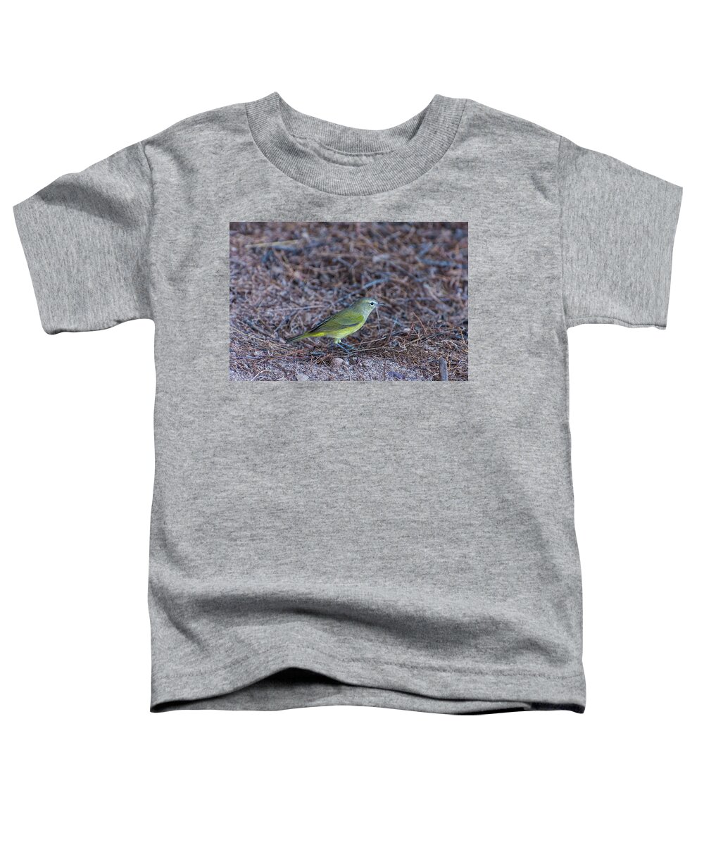 Orange Toddler T-Shirt featuring the photograph Orange-crowned Warbler by Douglas Killourie