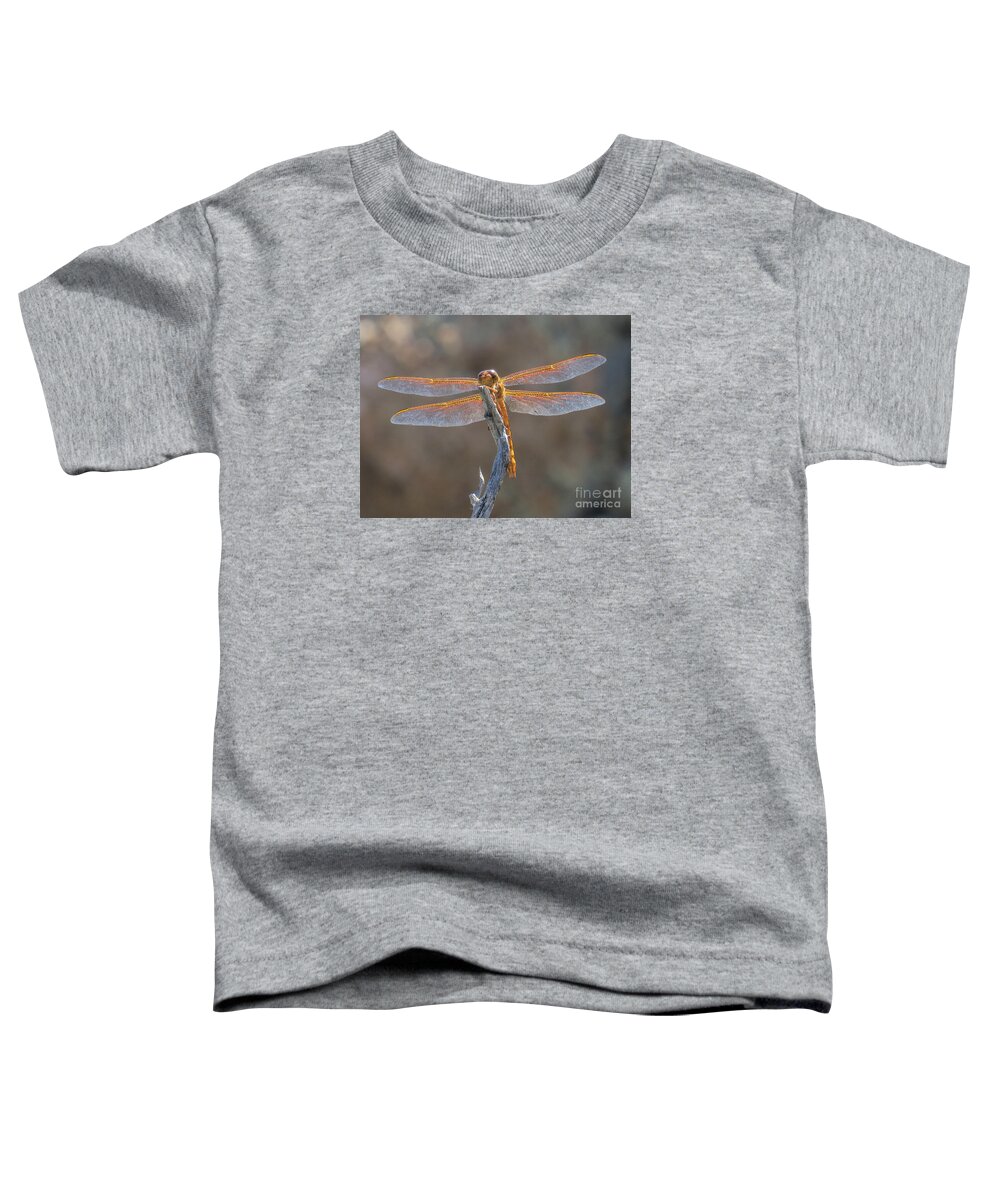 Nature Toddler T-Shirt featuring the photograph Dragonfly 3 by Christy Garavetto