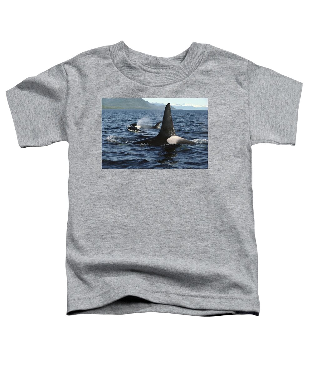 00079588 Toddler T-Shirt featuring the photograph Orca Pod Surfacing Johnstone Strait by Flip Nicklin