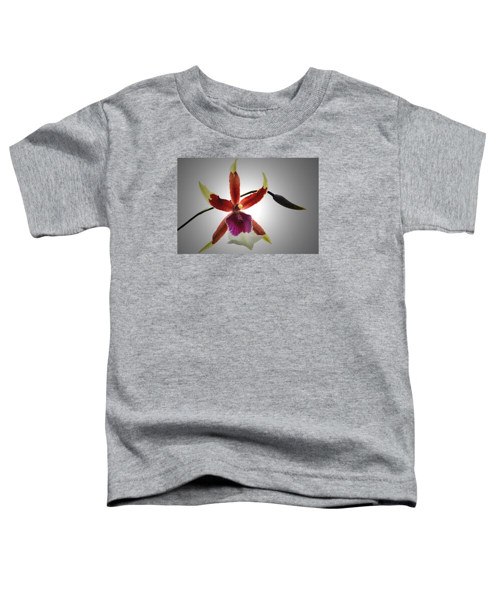 Orchid Toddler T-Shirt featuring the photograph Orchid Cambria. by Terence Davis