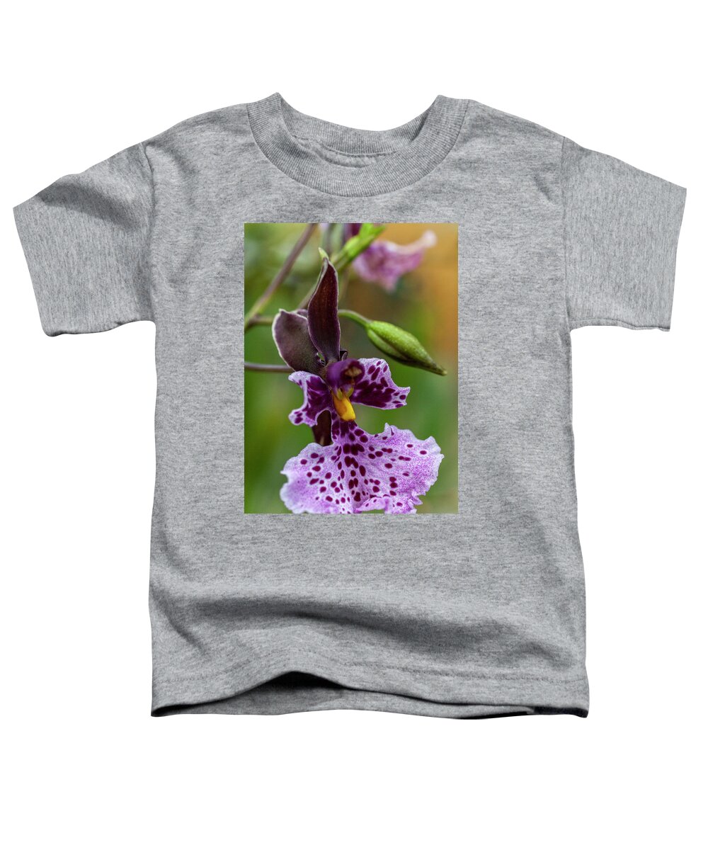 Orchid Toddler T-Shirt featuring the photograph Orchid - Caucaea rhodosticta by Heiko Koehrer-Wagner