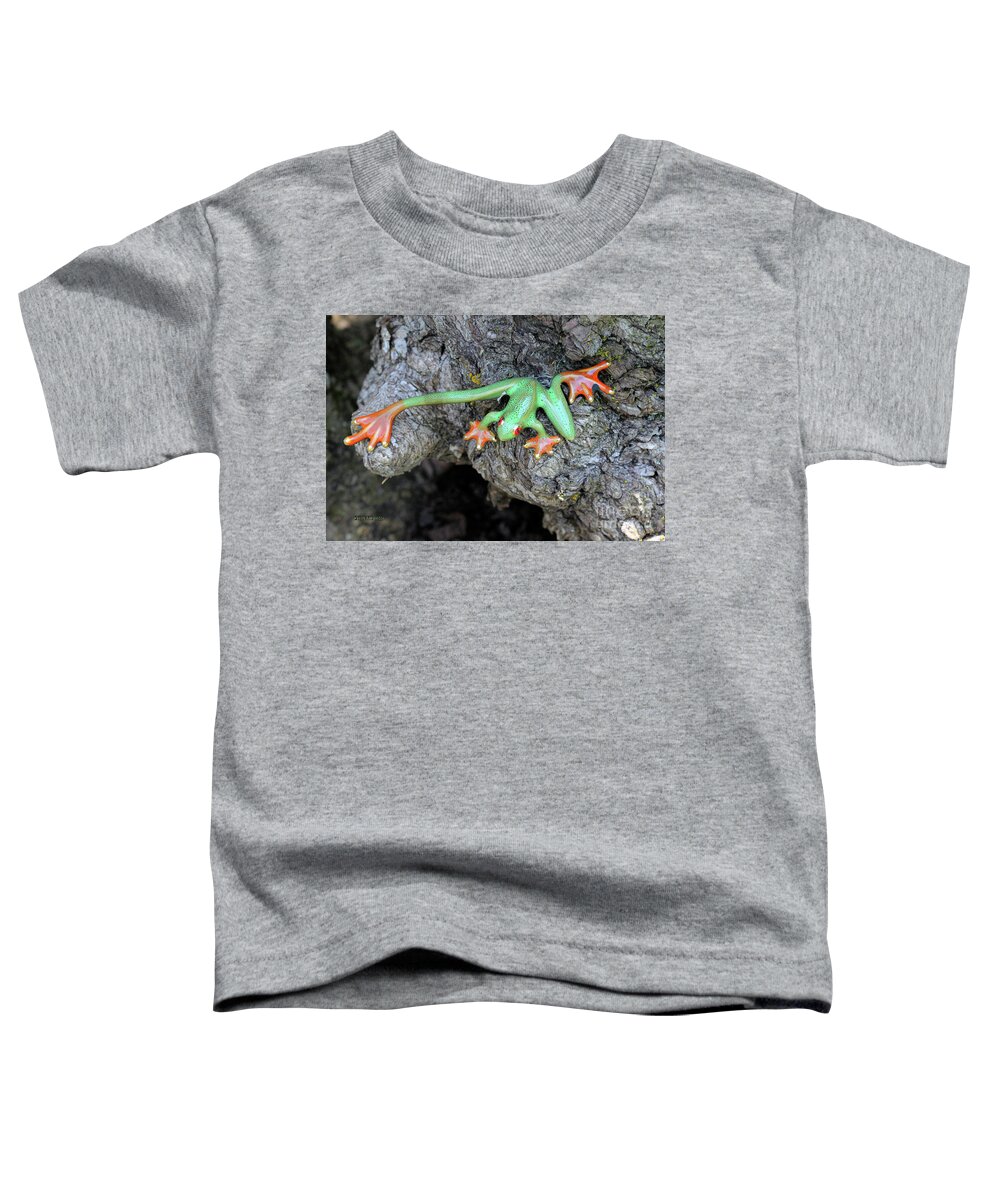 Frog Toddler T-Shirt featuring the painting Ornamental Green Orange Frog by Corey Ford