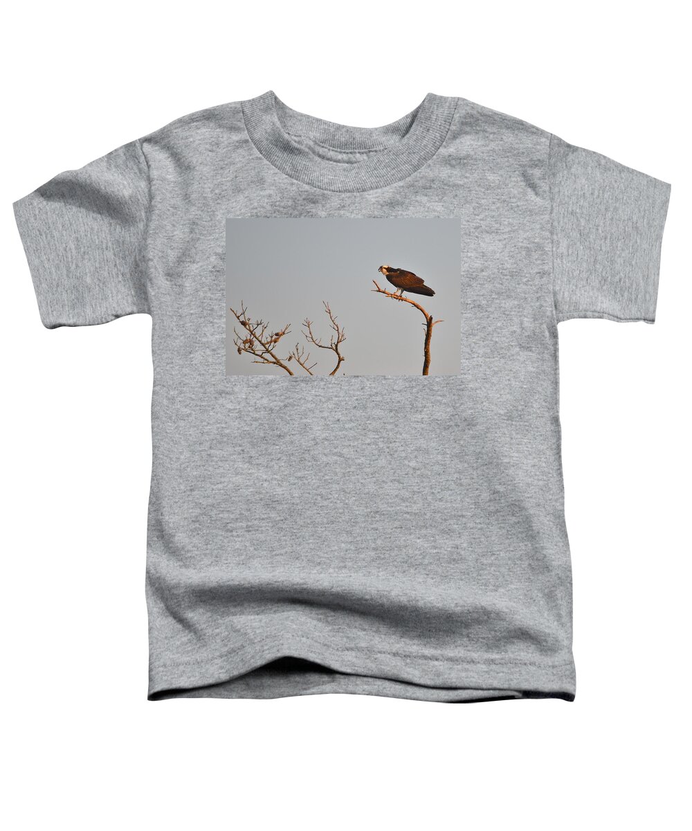  Toddler T-Shirt featuring the photograph Osprey by Kim Bemis