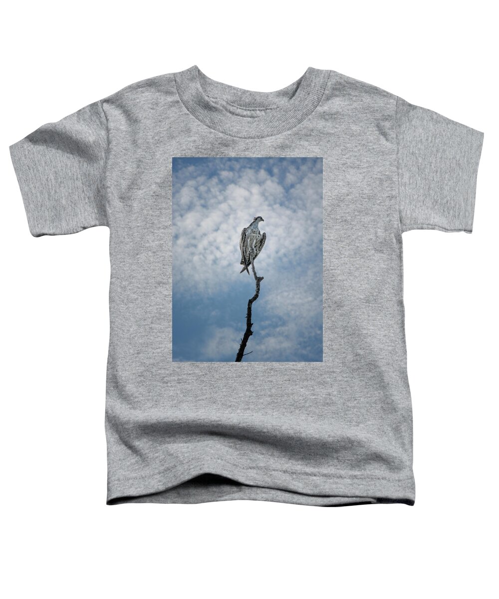 Osprey Toddler T-Shirt featuring the photograph Osprey on Top of the World by Mitch Spence