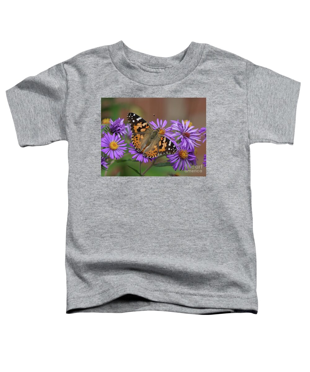 Painted Lady Toddler T-Shirt featuring the photograph Painted Lady Butterfly and Aster Flowers 4x3 by Robert E Alter Reflections of Infinity