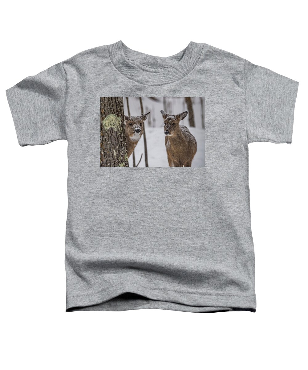 Deer Toddler T-Shirt featuring the photograph Pair Of Deer by Paul Freidlund
