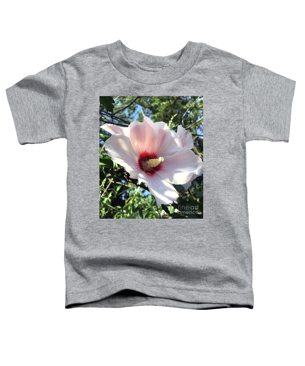 Hibiscus Flower Toddler T-Shirt featuring the photograph Pale Pink Hibiscus by CAC Graphics