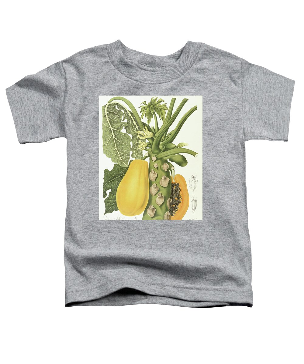 Papaya Toddler T-Shirt featuring the painting Papaya by Berthe Hoola van Nooten