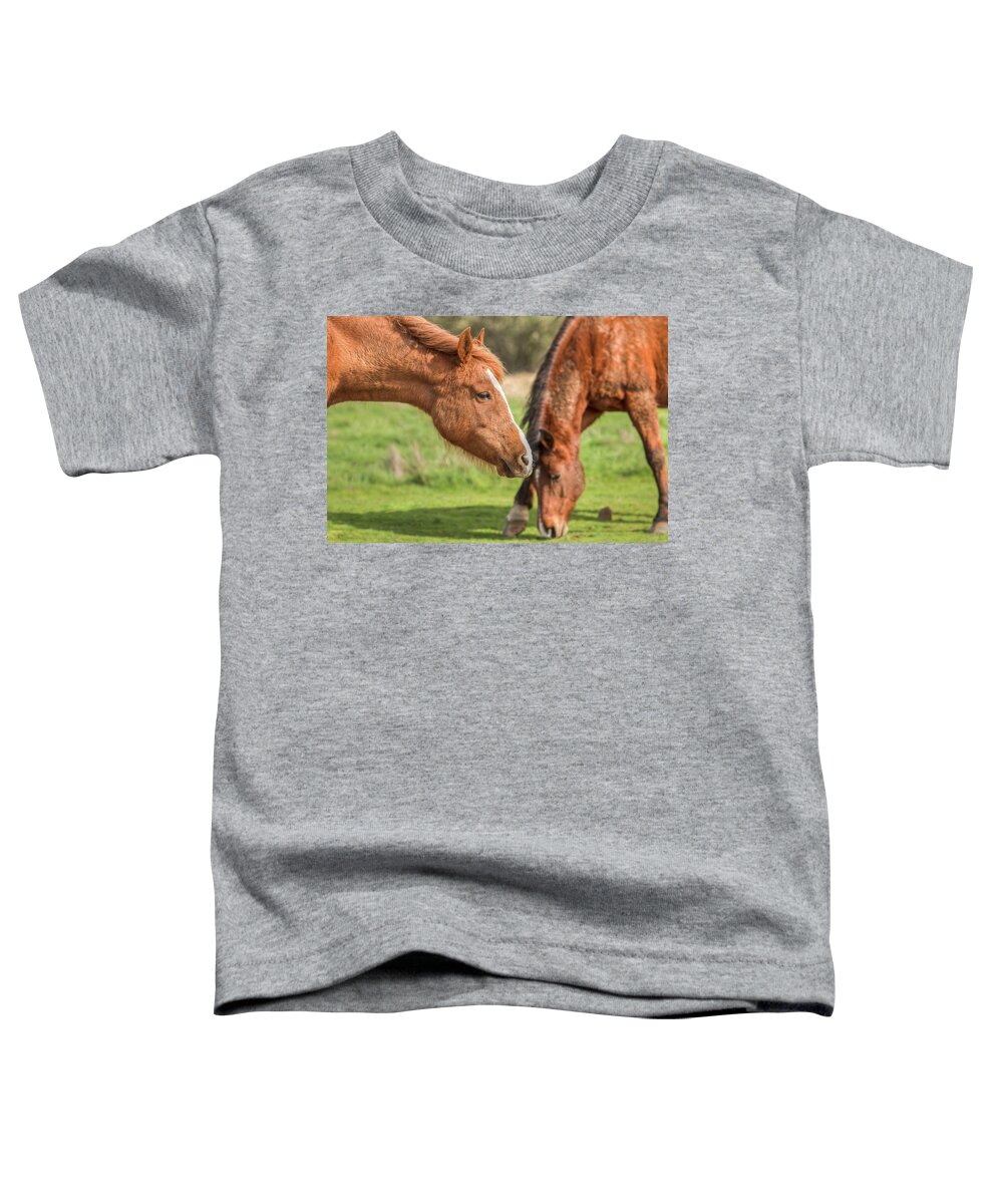 Pasture Pals Toddler T-Shirt featuring the photograph Pasture Pals by Kristina Rinell