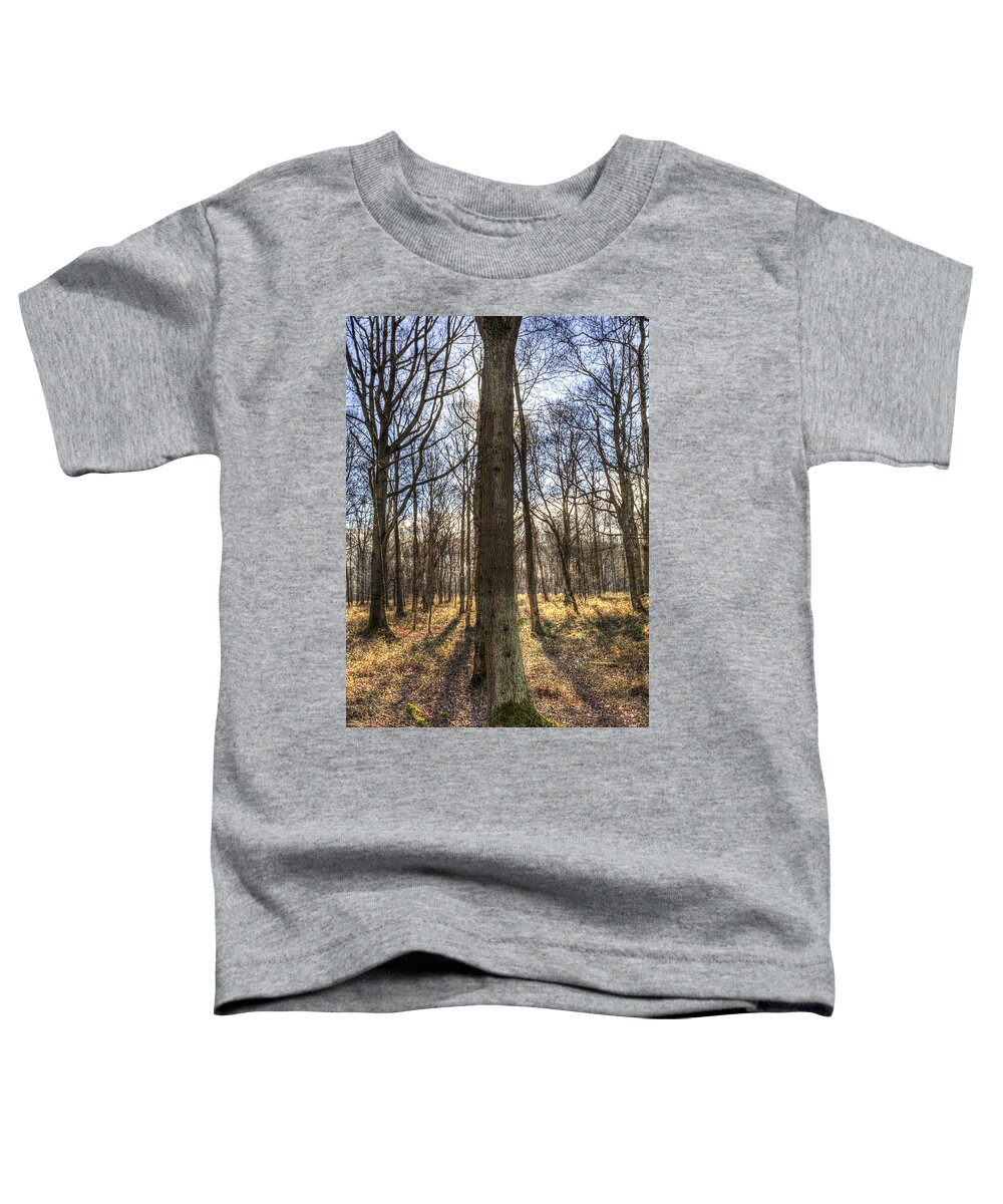 Forest Toddler T-Shirt featuring the photograph Peace In the Morning Forest by David Pyatt