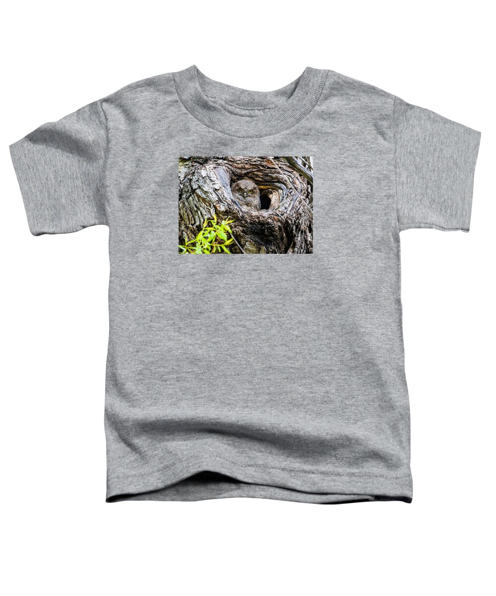 Eastern Screech Owl Toddler T-Shirt featuring the photograph Peek A Boo by Mindy Musick King