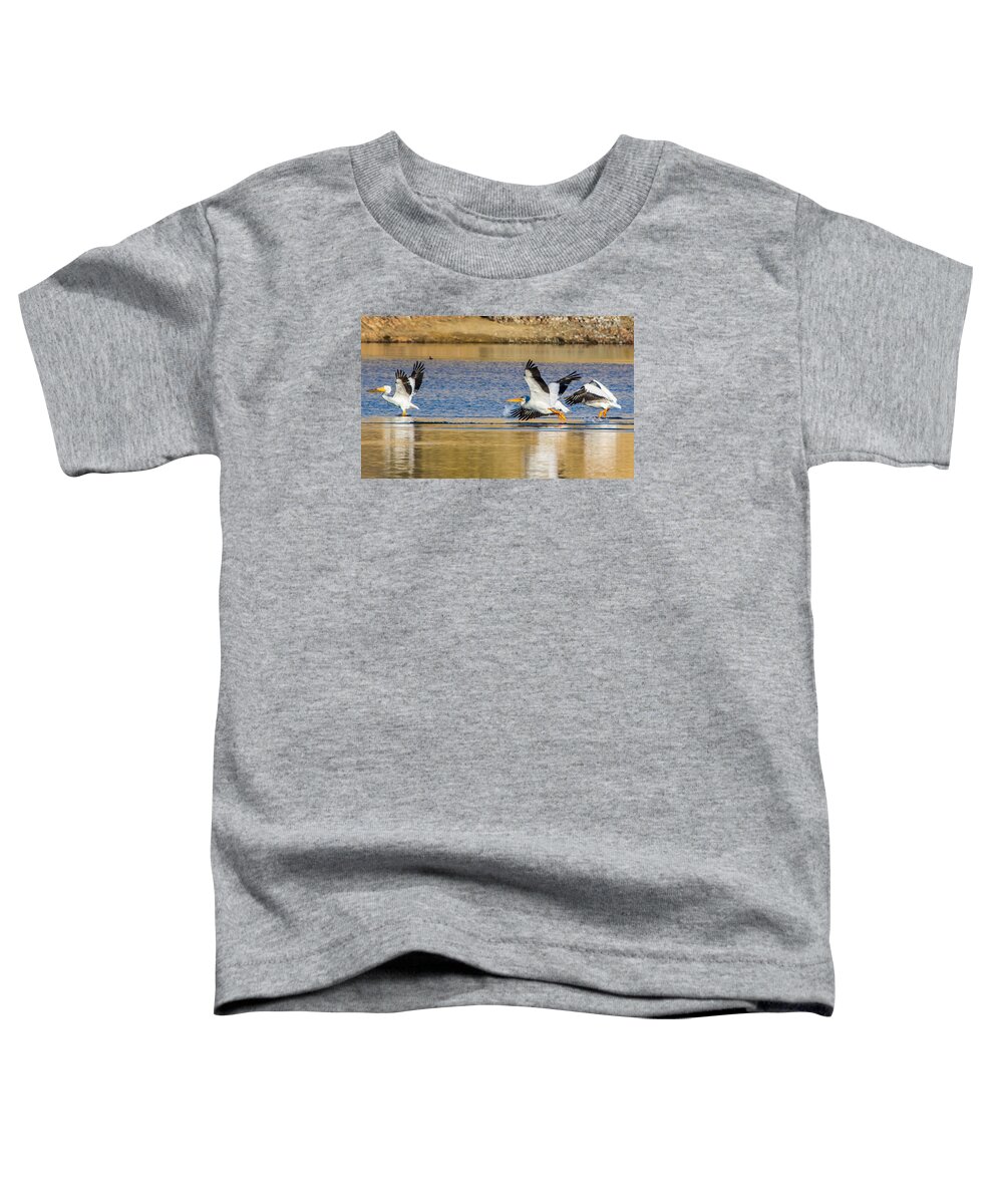 California Toddler T-Shirt featuring the photograph Pelican Take Off by Marc Crumpler