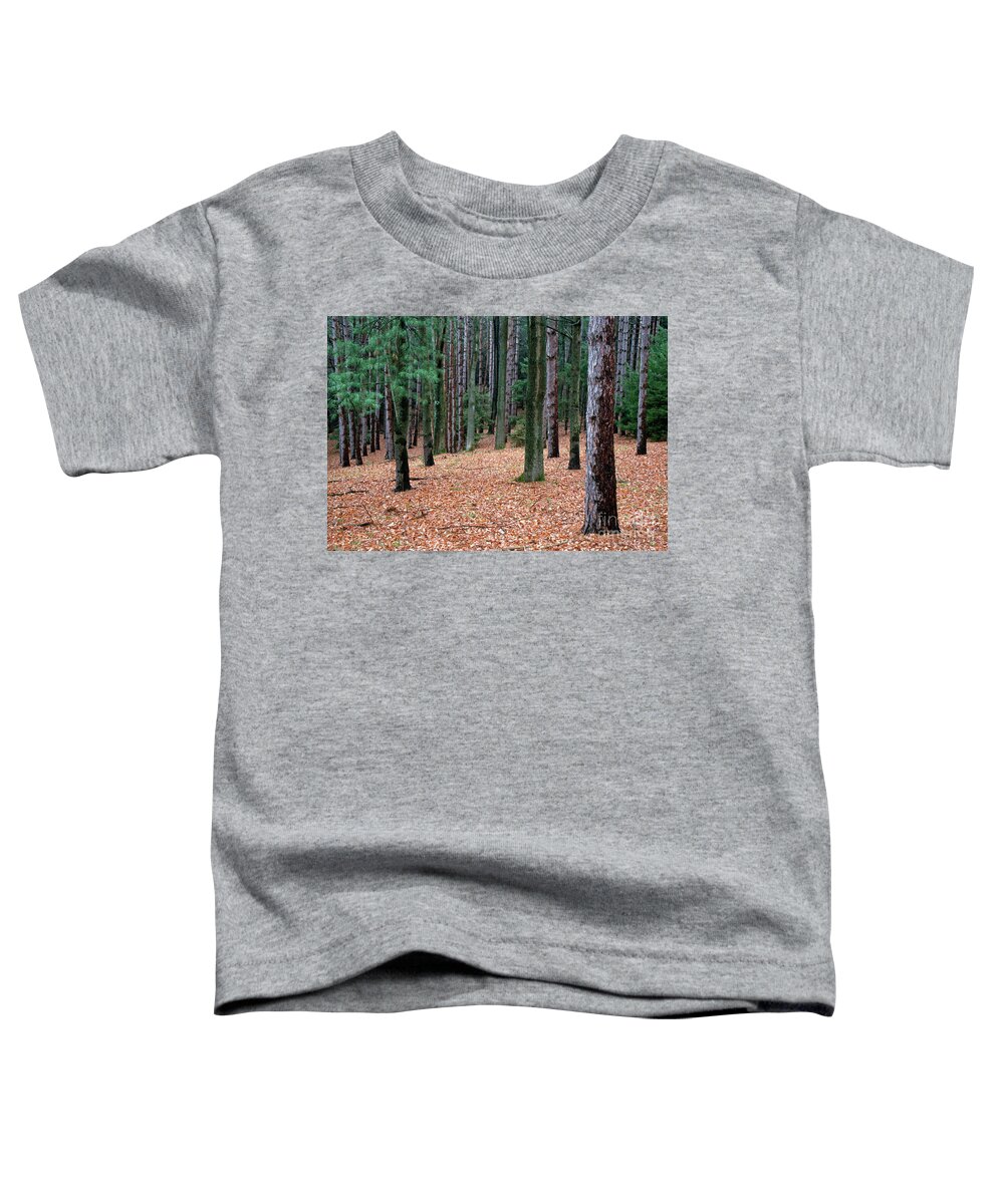 Trees Toddler T-Shirt featuring the photograph Pennsylvania forest scene by Kevin Shields