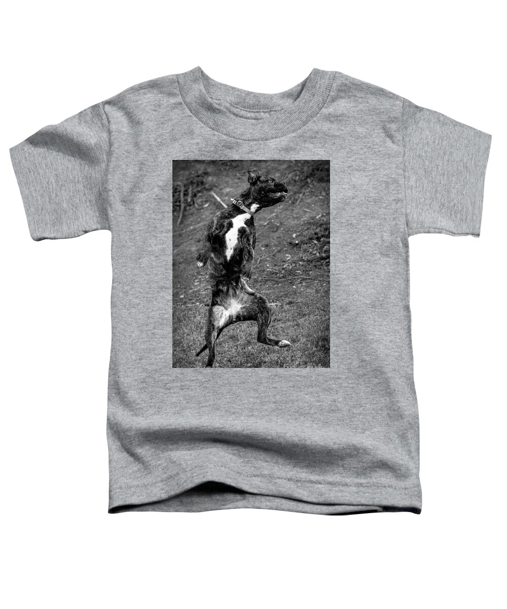 Admire Toddler T-Shirt featuring the photograph Penny Jumping to play -Dog by Adrian De Leon Art and Photography