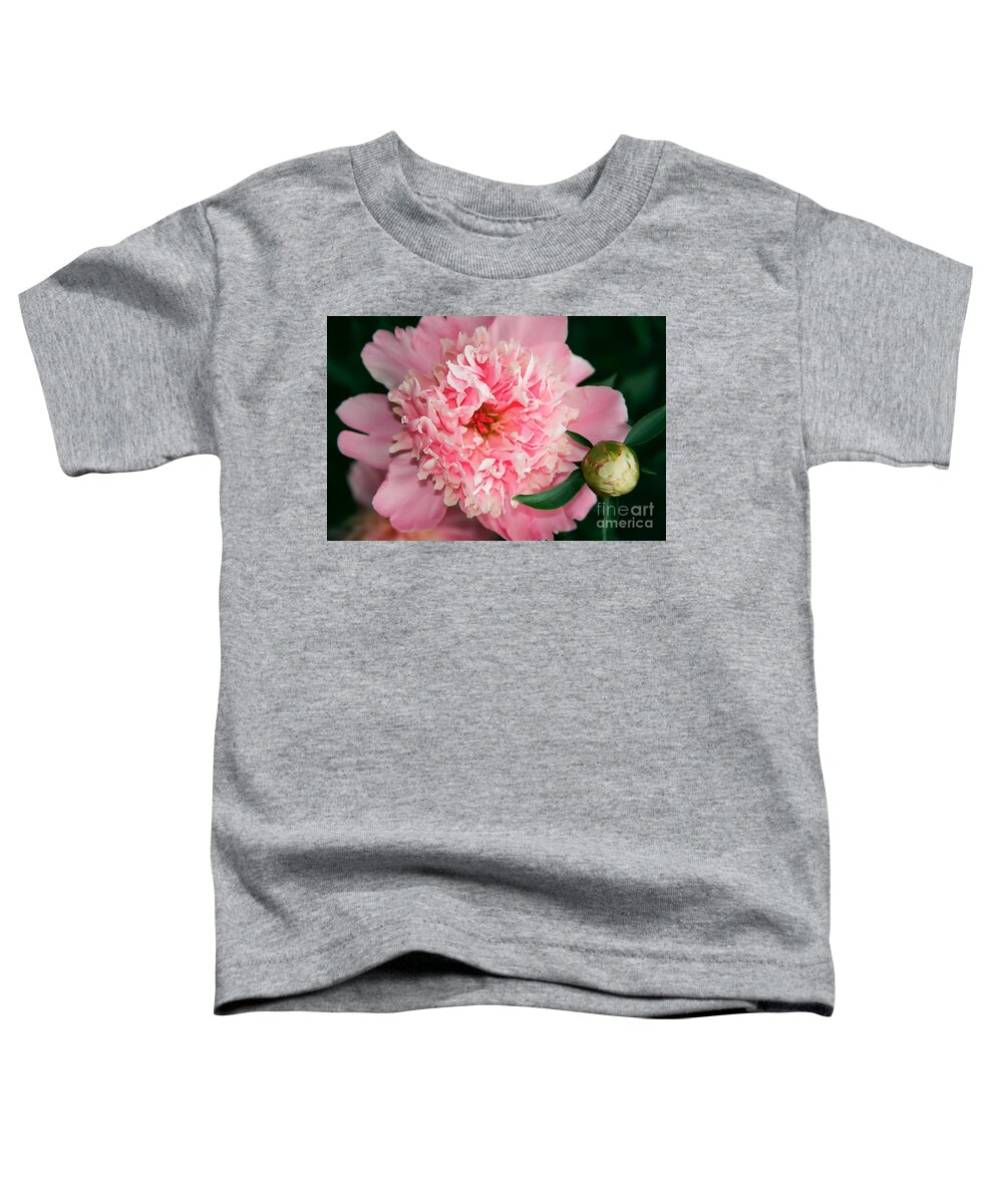 Flowers Toddler T-Shirt featuring the photograph Peony and Bud by Kathy McClure