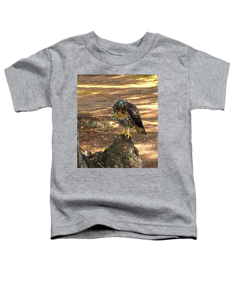 Peregrine Falcon Toddler T-Shirt featuring the photograph Peregrine Falcon Santa Maria Country Club by Floyd Snyder