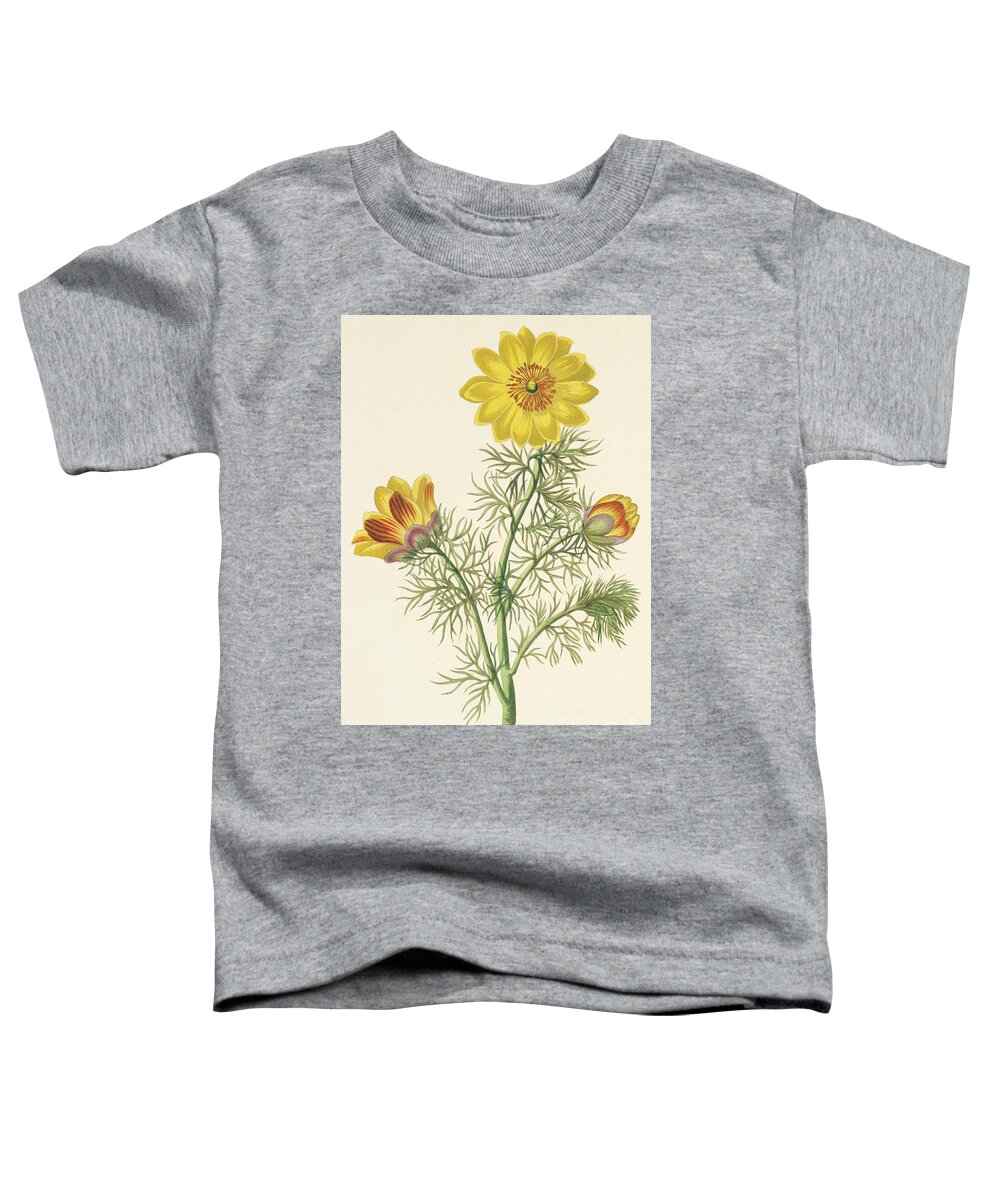 Perennial Adonis Toddler T-Shirt featuring the painting Perennial Adonis by Pierre Puvis de Chavannes